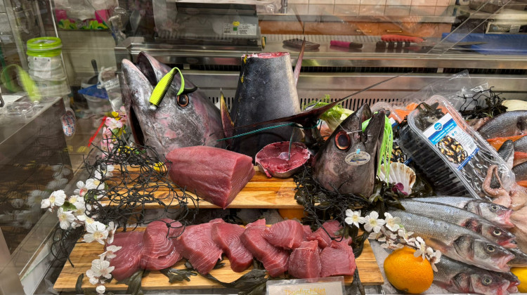 Frischer Thunfisch direkt aus dem Indischen Ozean